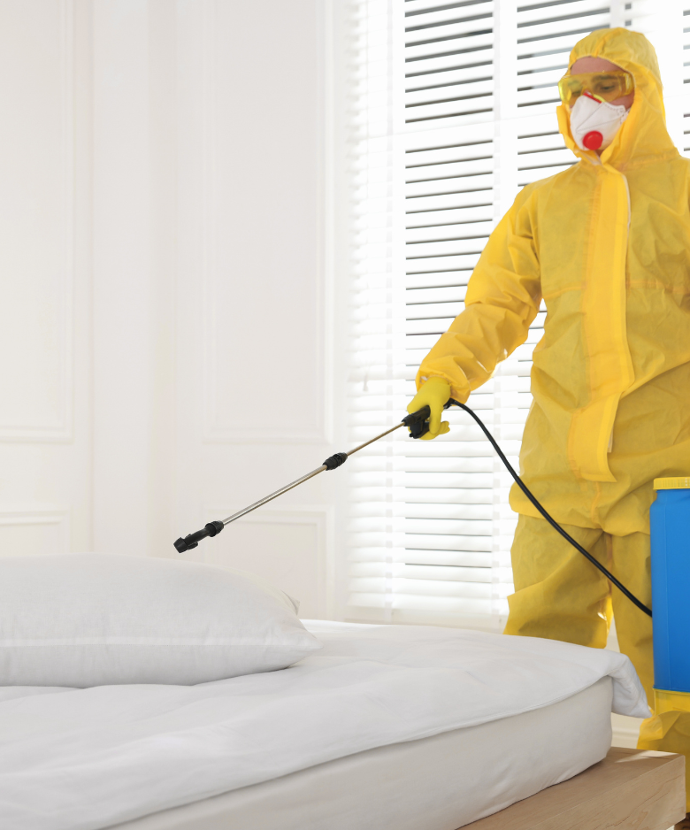 Professional Pest Control Team in Noarlunga Downs